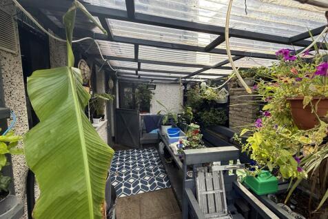 IMG 6070 T202508270949.jpg