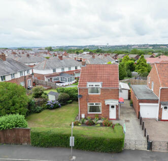 DJI 0295 T202509282050.jpg