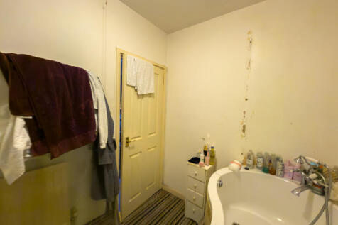 IMG 5418 T202510071943.jpg