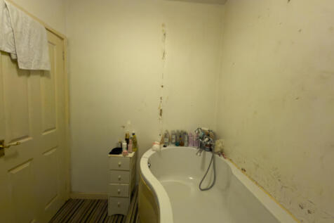 IMG 5419 T202510071943.jpg