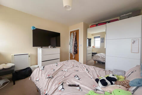 IMG 7119 T202510210947.jpg