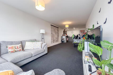 IMG 7128 T202510210947.jpg