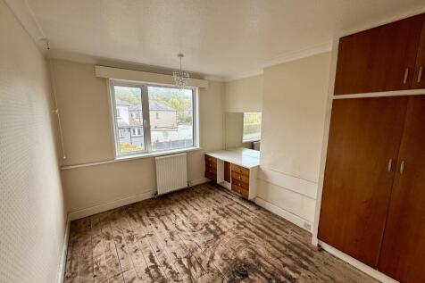 IMG 6295 T202510091831.jpg