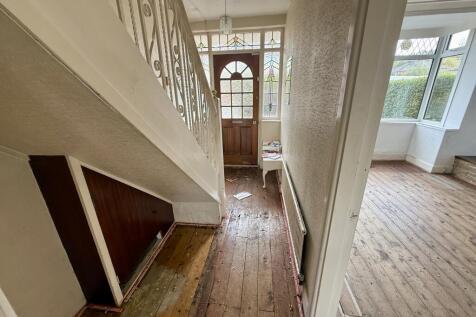 IMG 6318 T202510091831.jpg