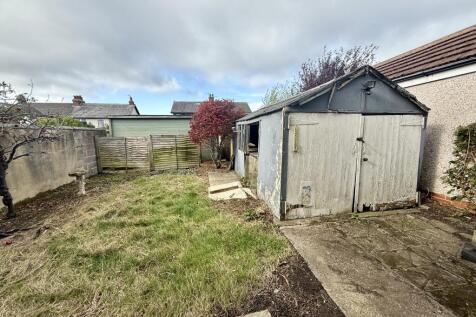 IMG 6321 T202510091831.jpg