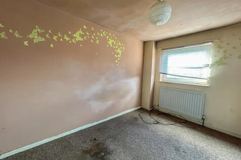 IMG 6881 T202510100926.jpg