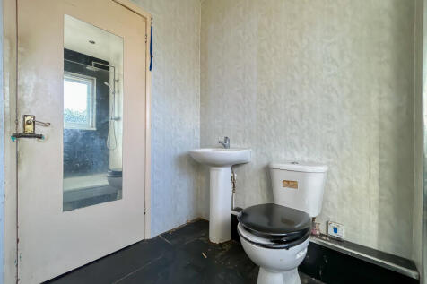 IMG 6913 T202510100925.jpg