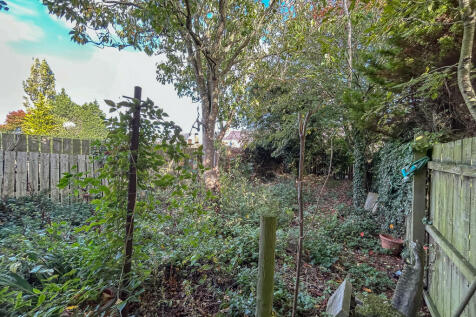 IMG 6903 T202510100925.jpg