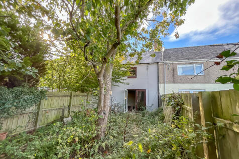 IMG 6905 T202510100925.jpg