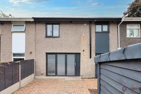 IMG 3868 T202510220910.jpg