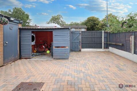 IMG 3884 T202510220910.jpg