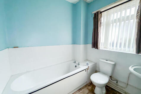 IMG 6796 T202510101021.jpg