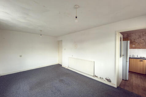 IMG 7128 T202511051328.jpg