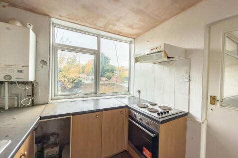 IMG 7133 T202511051328.jpg