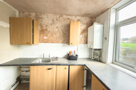 IMG 7131 T202511051328.jpg