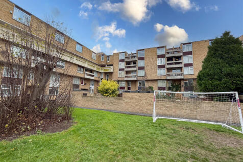 IMG 7154 T202511051328.jpg