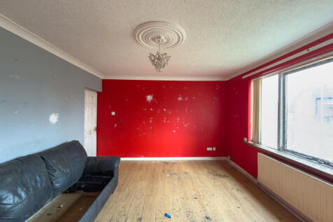 IMG 7428 T202511081225.jpg