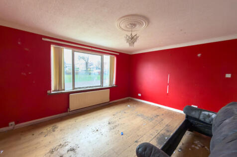 IMG 7431 T202511081225.jpg