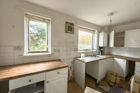 IMG 7433 T202511081225.jpg