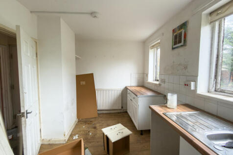 IMG 7435 T202511081225.jpg