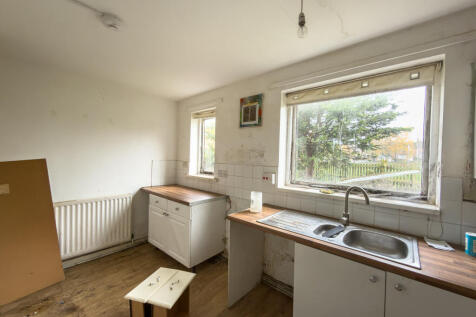 IMG 7436 T202511081225.jpg