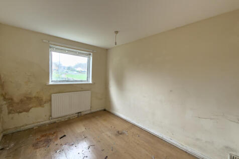 IMG 7446 T202511081225.jpg