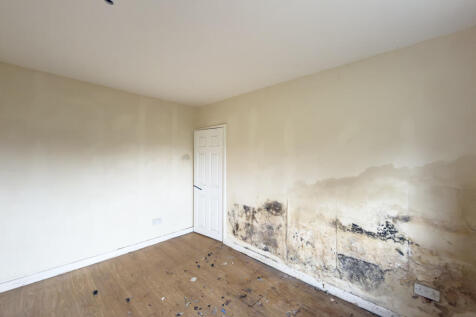 IMG 7449 T202511081225.jpg