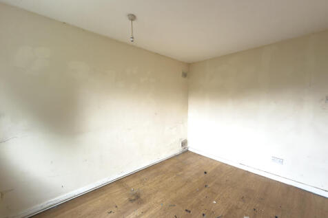 IMG 7450 T202511081225.jpg