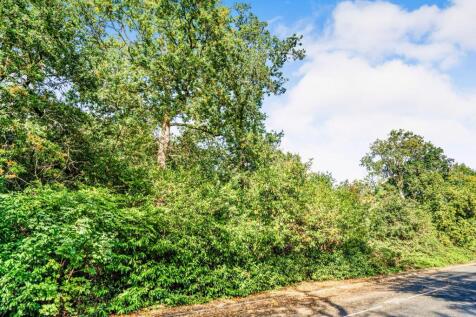 PHOTO-2025-10-05-12-12-56 3 T202511201452.jpg