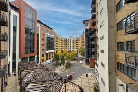 IMG 0283 T202510180818.jpg