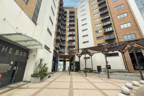 IMG 0285 T202510180818.jpg