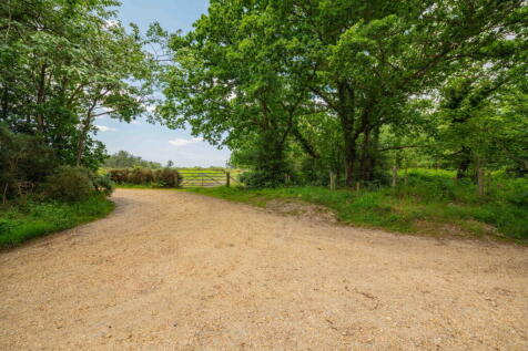 Property Image 58