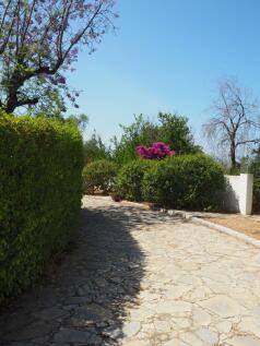 Property Image 39