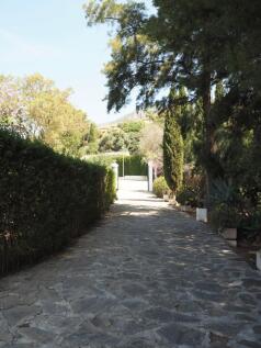 Property Image 42