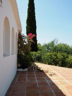 Property Image 44