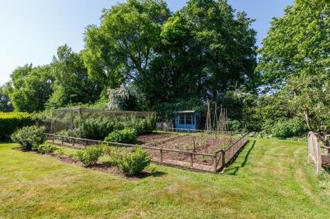 Vegetable Garden