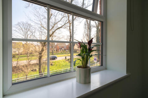 WINDOW.jpg