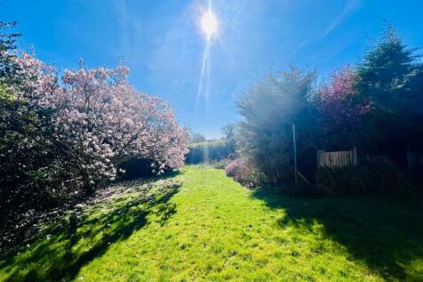 GARDEN (6).jpeg