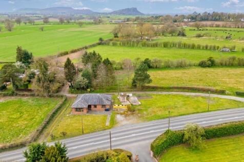 20250331-DJI_0254-Edit.jpg