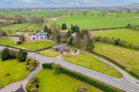 20250331-DJI_0252-Edit.jpg