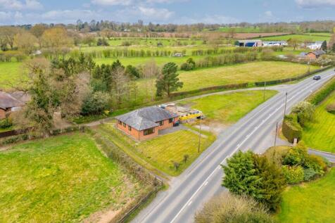 20250331-DJI_0258-Edit.jpg