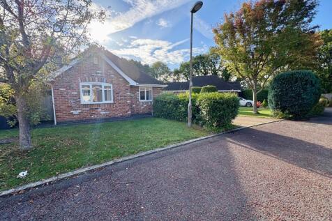 WhatsApp Image 2025-09-30 at 11.08.55_c21f0fa1.jpg