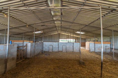 Stable