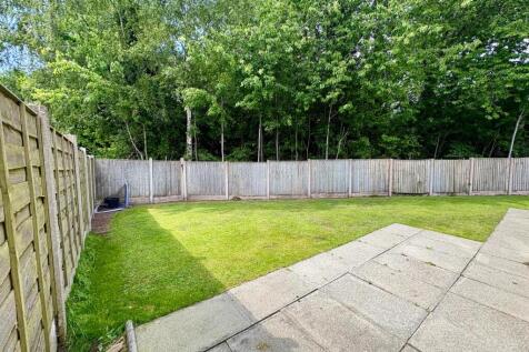30 St Asaph garden 2.jpg