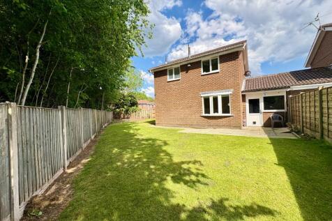 3 St Asaph garden 4.jpg