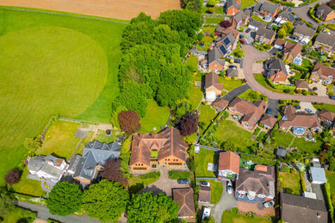 20250429-DJI_0596.jpg
