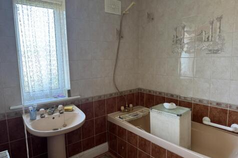 IMG 7320 T202504240908.jpeg