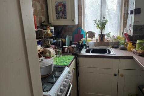 IMG 7235 T202504170923.jpeg
