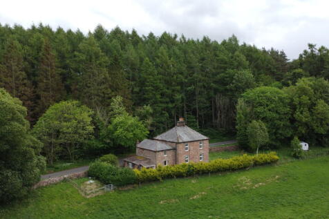 DJI 0128 T202506051230.jpg