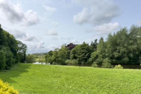 IMG 7550 T202506041030.jpeg